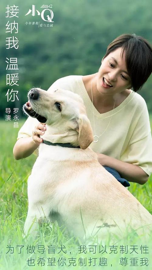 假的高中毕业证读函授大专算数吗